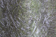 Snave fibreglass roof work